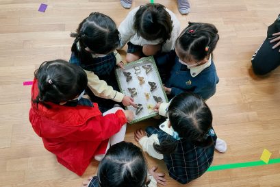 超過3000位幼兒及幼兒教師參加各類工作坊及活動。