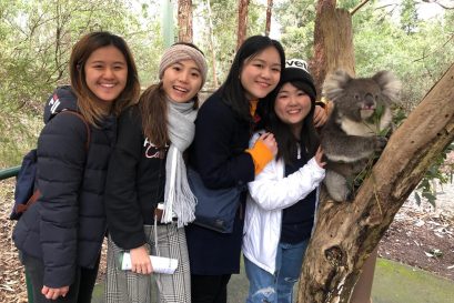 学员到克莱兰德野生动物园参观，喜与树熊合照。