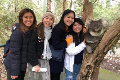 學員到克萊蘭德野生動物園參觀，喜與樹熊合照。