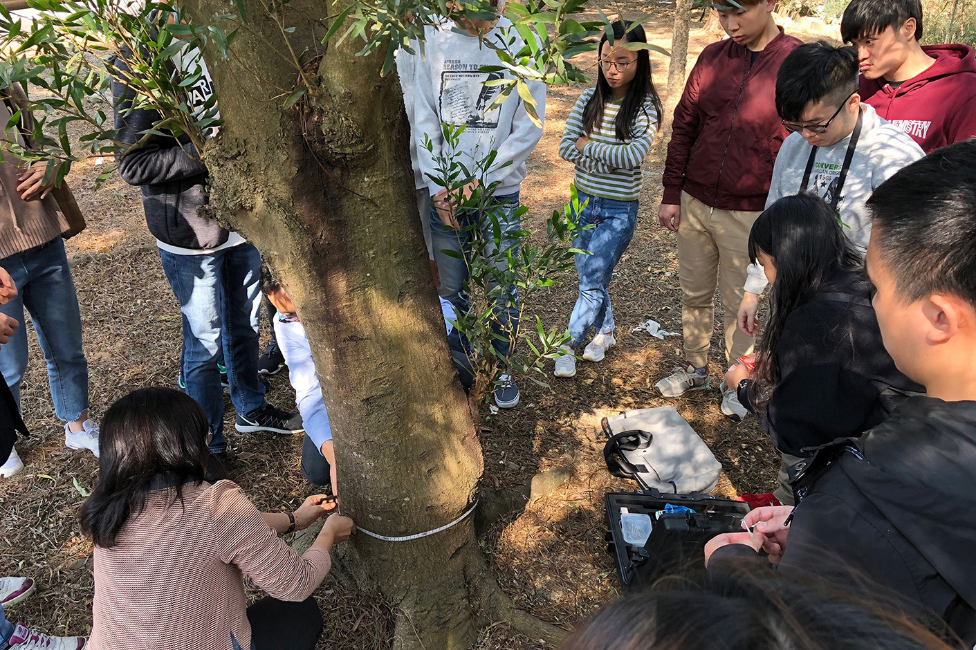 Workshop on Tree Management Research Session image